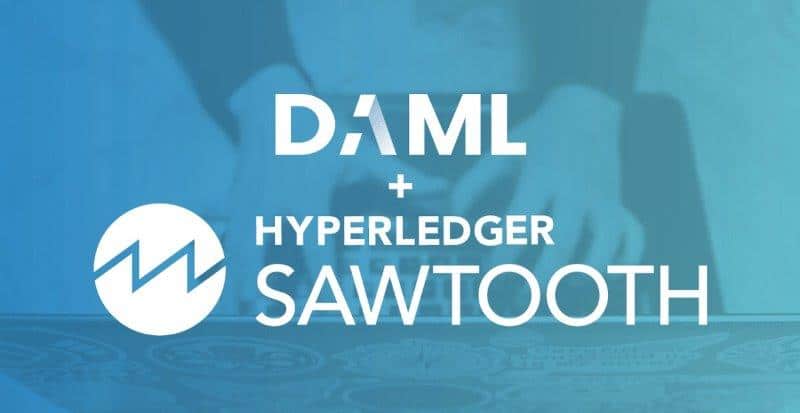 DAML + Hyperledger Sawtooth