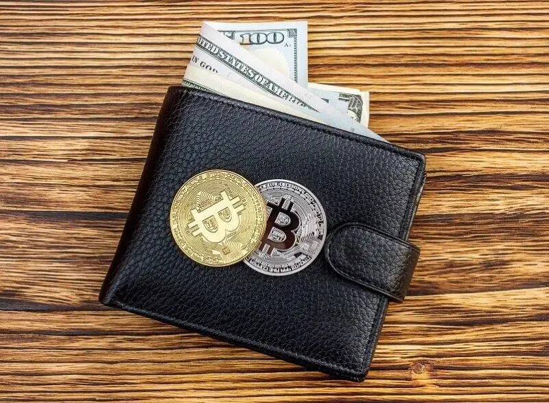 Rising Number of Crypto Wallet Users Shows Positive Signs