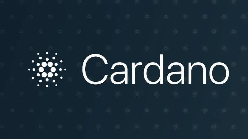 Cardano Records 8% Drop
