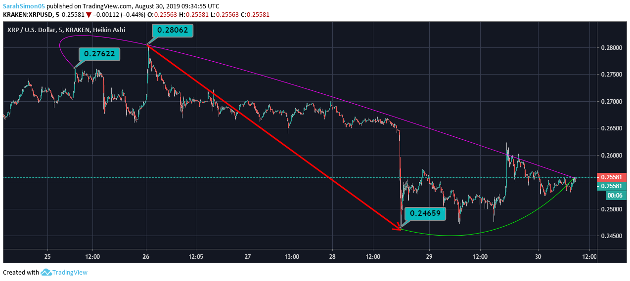 Ripple Records 90 days Low By Trading At 0 24 Yesterday