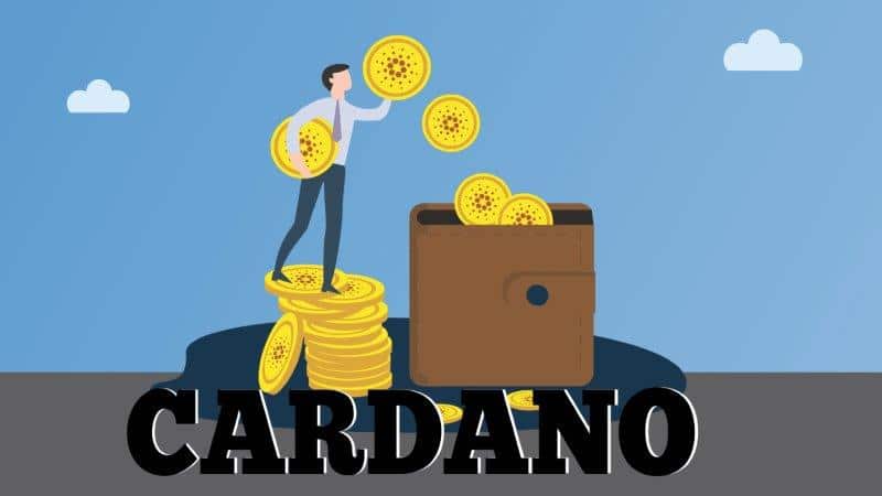Cardano Price Improvement Spikes