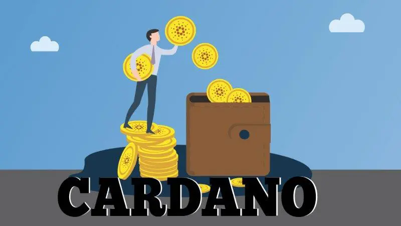 Cardano Price Improvement Spikes