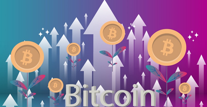 Bitcoin (BTC) News