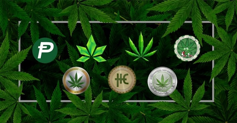 Top Cryptocurrencies in Cannabis Industry