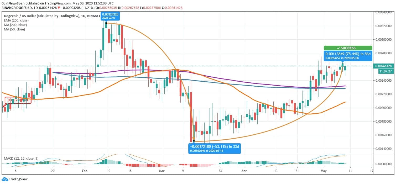 Dogecoin Price - Dogecoin Price Analysis Doge Usd Strong ...