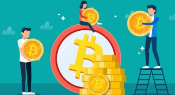 Bitcoin Whales Gain Impetus in the Ongoing Year After a Brief Stance