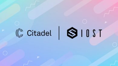 Staking Guide Procedure on Citadel.one