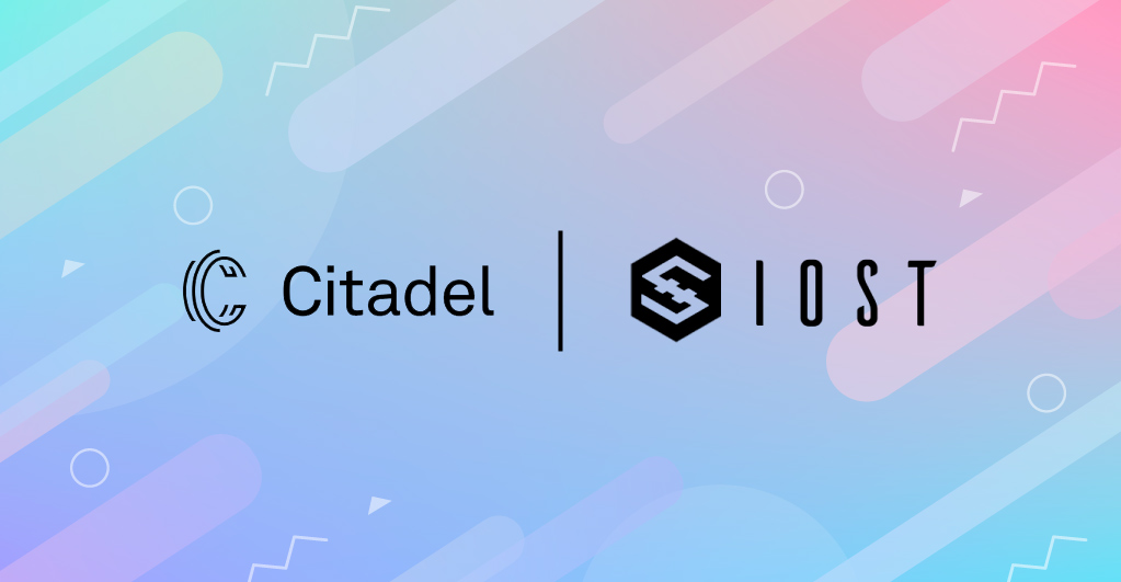 Staking Guide Procedure on Citadel.one