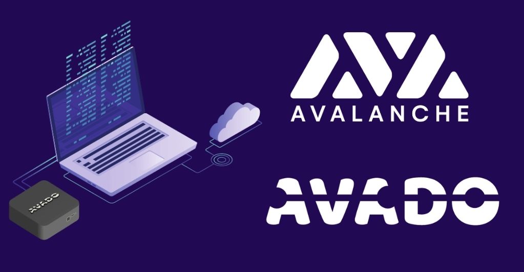 Avalanche joins hands with AVADO