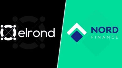 Nord Finance Teams with Elrond Network