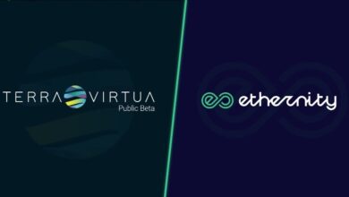 Terra Virtua Partnership with Ethernity