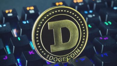 Dogecoin Plummets After Supporters Celebrated 'Dogeday 4/20'