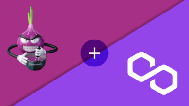 OnionMixer Integrates With Polygon Network