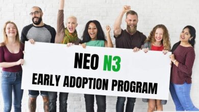 Neo N3 Adoption Program Joined by Defina Finance