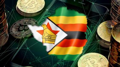 Zimbabwe in Talks to Reduce DeFi Remittance From Abroad