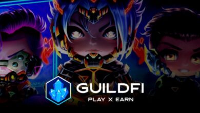 GuildFi Secures 6 Million Dollars in Seed Investment!