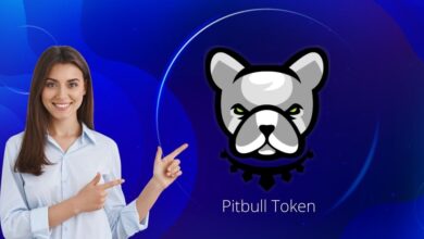 Pitbull Token Presents the New Roadmap: Beyond the Blockchain