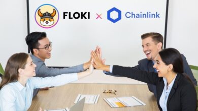 FLOKI Announces Integration of Chainlink Price Feeds on Blockchain