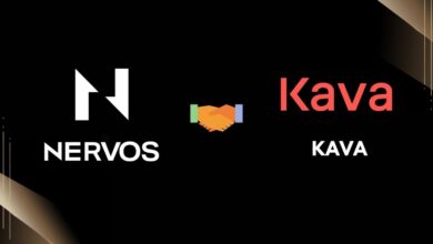 Nervos and Kava Labs Join Hands to Offer Cross-Chain Liquidity