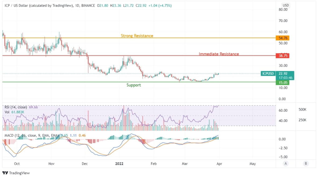 ICP Price Analysis