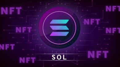 The Grape Protocol Is Launching the NFT DEX on Solana