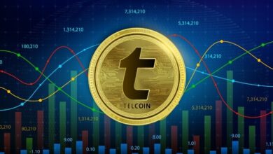 Telcoin (TEL) Reverts to Year Low: Is It a Buying Opportunity?