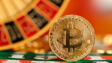 The Worldwide Popularity of Bitcoin Roulette