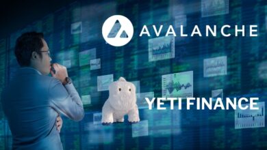 Yeti Finance Receives Strategic Investment From Avalanche for Liquidity