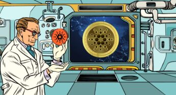 Input Output Global Hard Forking Cardano Testnet for Vasil Update
