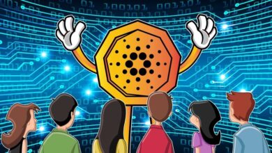 New Scalability Solution Cardano EVM Sidechain By IOHK