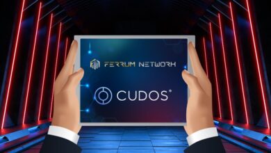Ferrum receives grant from Cudos Foundation