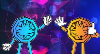 Floki forms an exclusive partnership with Binance Pay