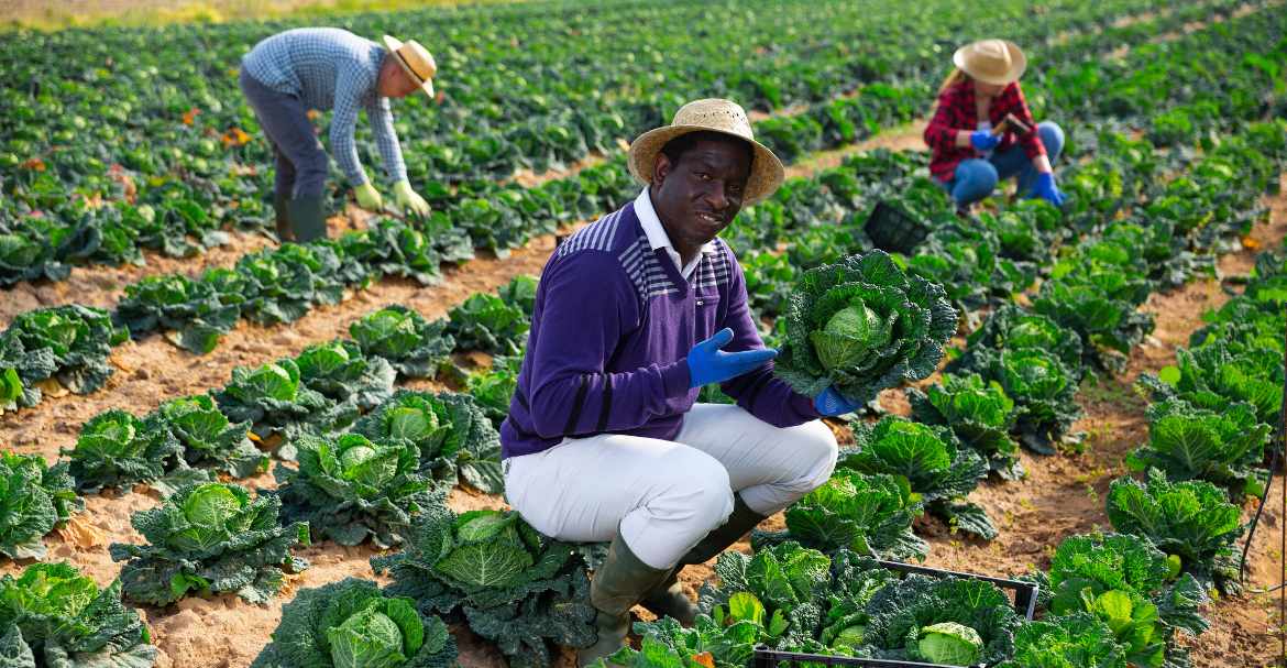 7k Kenyan farmers safeguarded by Lemonade Crypto Climate Coalition