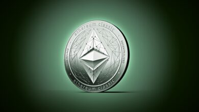 Does Ethereum Classic have a future
