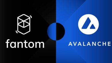 Fantom vs. Avalanche: Potential Ethereum Killers