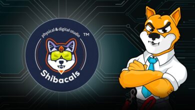 Shiba Inu launches Shibacals Will SHIB's price boost