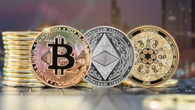 How distinct allure of cryptocurrency driving digital asset adoption