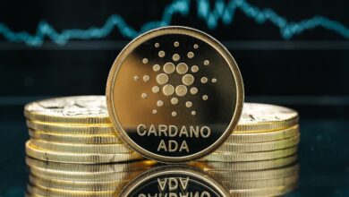 Why choose Cardano as a smart contract building platform