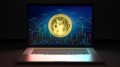 From meme coin to versatile token exploring Dogecoin's adaptability