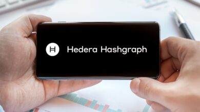 Hedera now hosts Smart Contract Verification