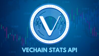 Vechain Stats introduces its Public API infrastructure