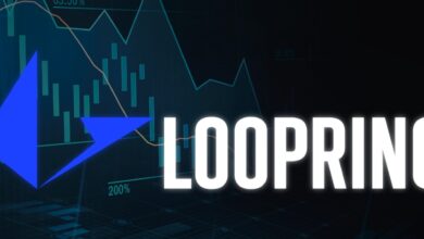 Loopring posts its updates for the last quarter of 2023