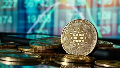 Cardano shines light on 2023 progress in new report