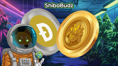 Dogecoin millionaire adds more DOGE & BUDZ during market dip