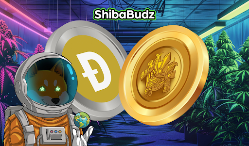 Dogecoin millionaire adds more DOGE & BUDZ during market dip