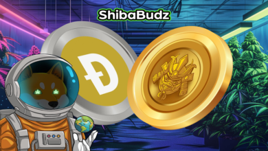 Dogecoin's Rise & Shiba Budz: The New Doge on the Block