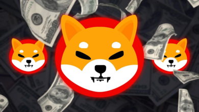New SHIB cryptocurrency attracts legacy Shiba Inu holders to new project