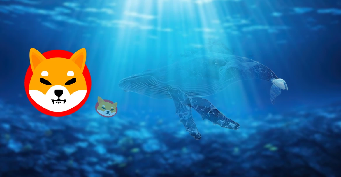 SHIB Whales surge 570%, eyeing $0.001 price milestone! 1 SHIB Whales surge 570%, eyeing $0.001 price milestone!