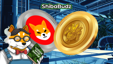 Shiba Inu guide for meme investors interested in 100x gains