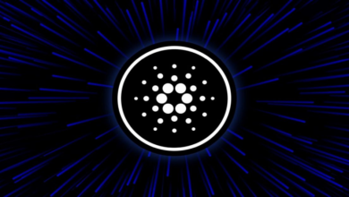 Why investors are buying Cardano and Option2Trade before BTC halving